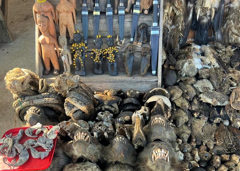 article vodou au marche des fetiche akodesewa